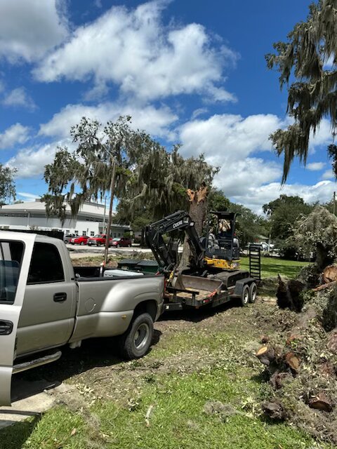 Worker in boom lift among Spanish moss oak trees performing tree work